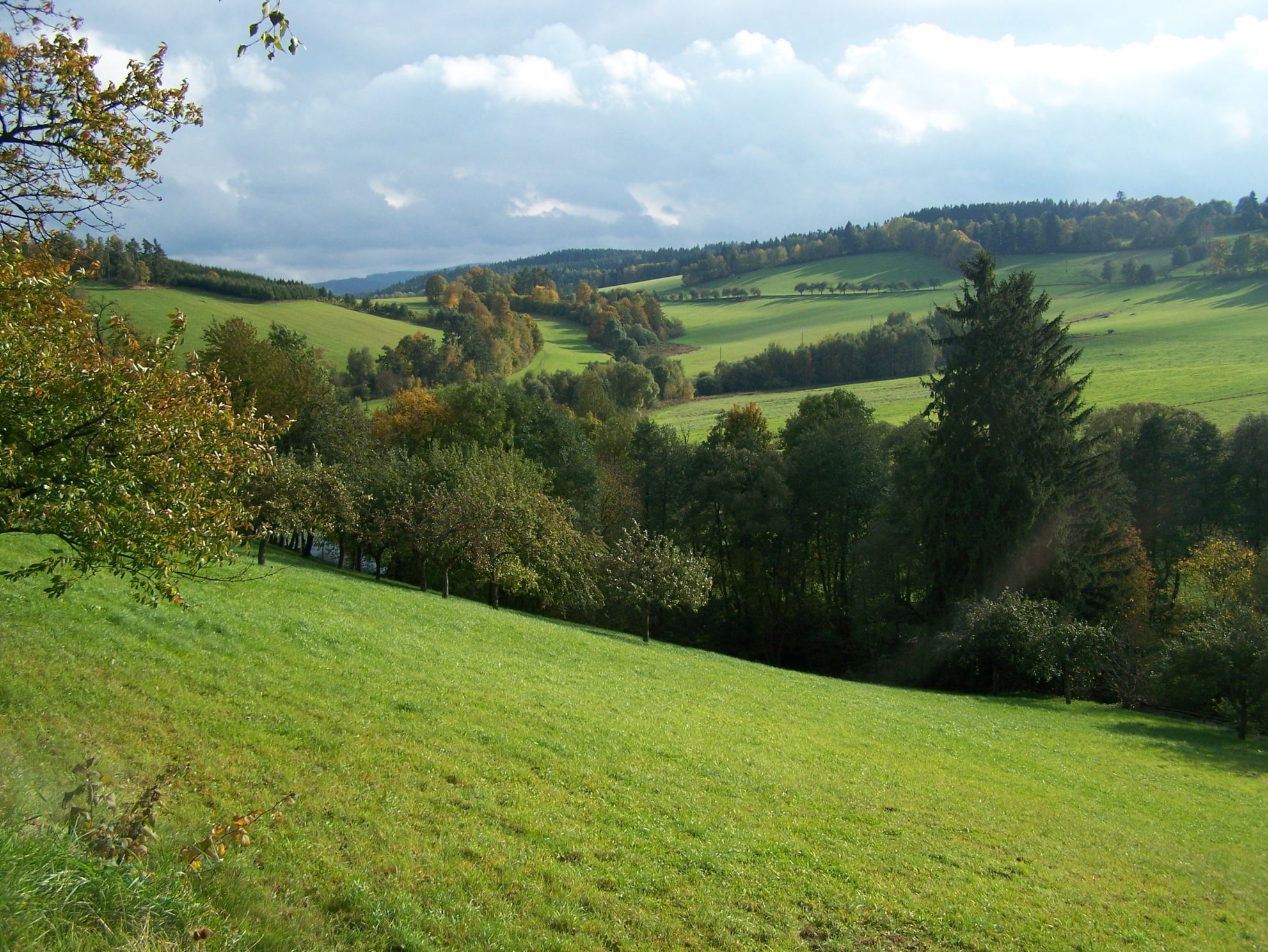 Šumava - výlet (21).jpg